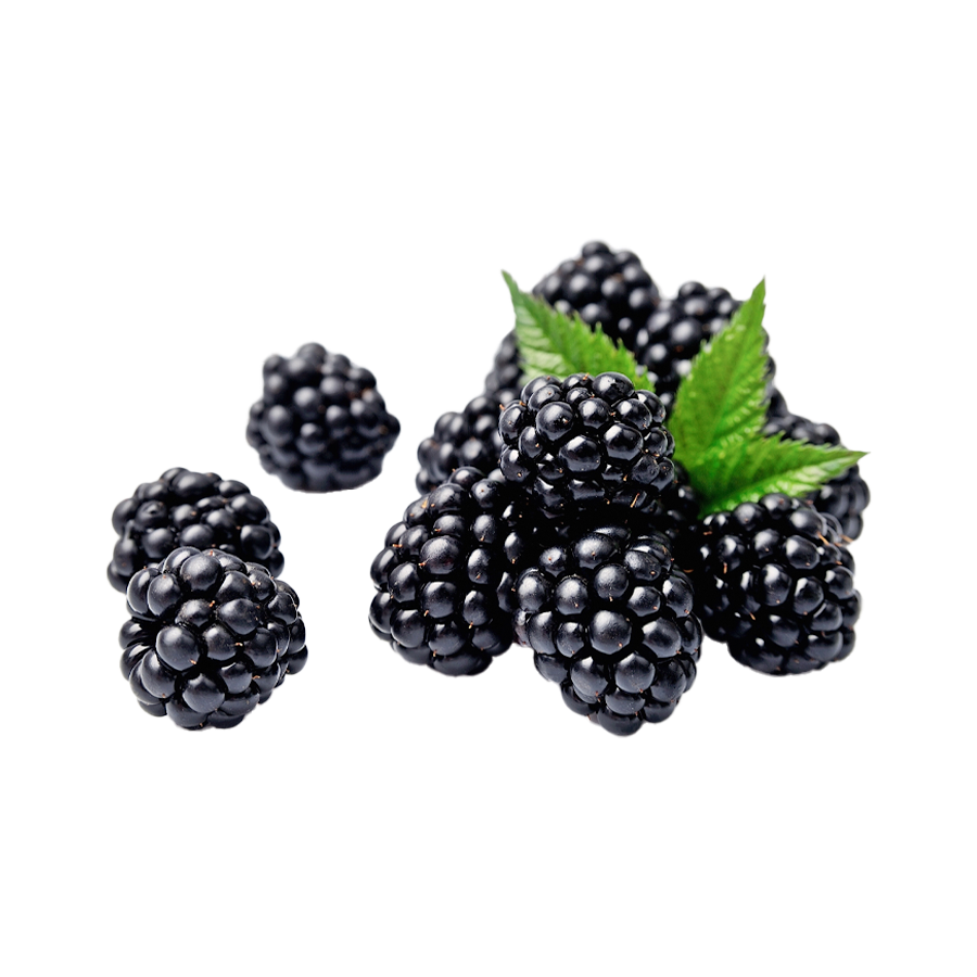 Eine Gruppe saftiger Brombeeren mit grünen Blättern auf weißem Hintergrund.