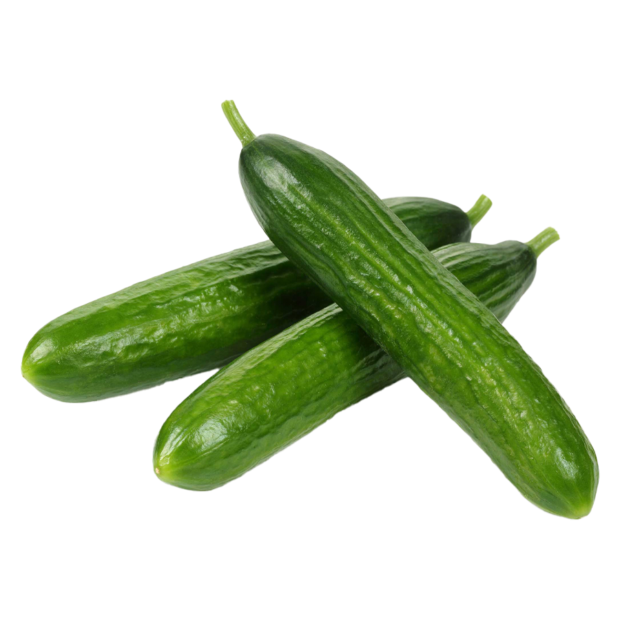 Drei frische grüne Gurken liegen auf weißem Hintergrund.