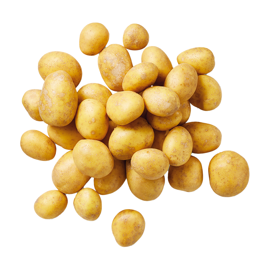 Ein Haufen goldener Kartoffeln auf weißem Hintergrund.