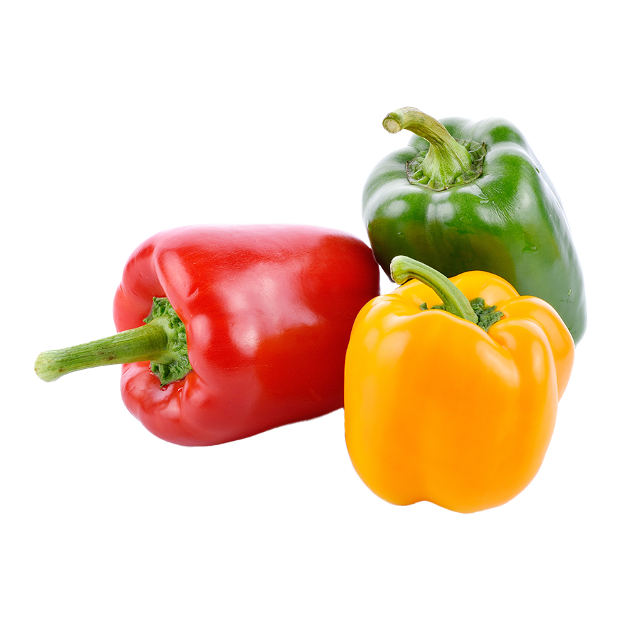 Drei bunte Paprika in Rot, Gelb und Grün auf weißem Hintergrund.