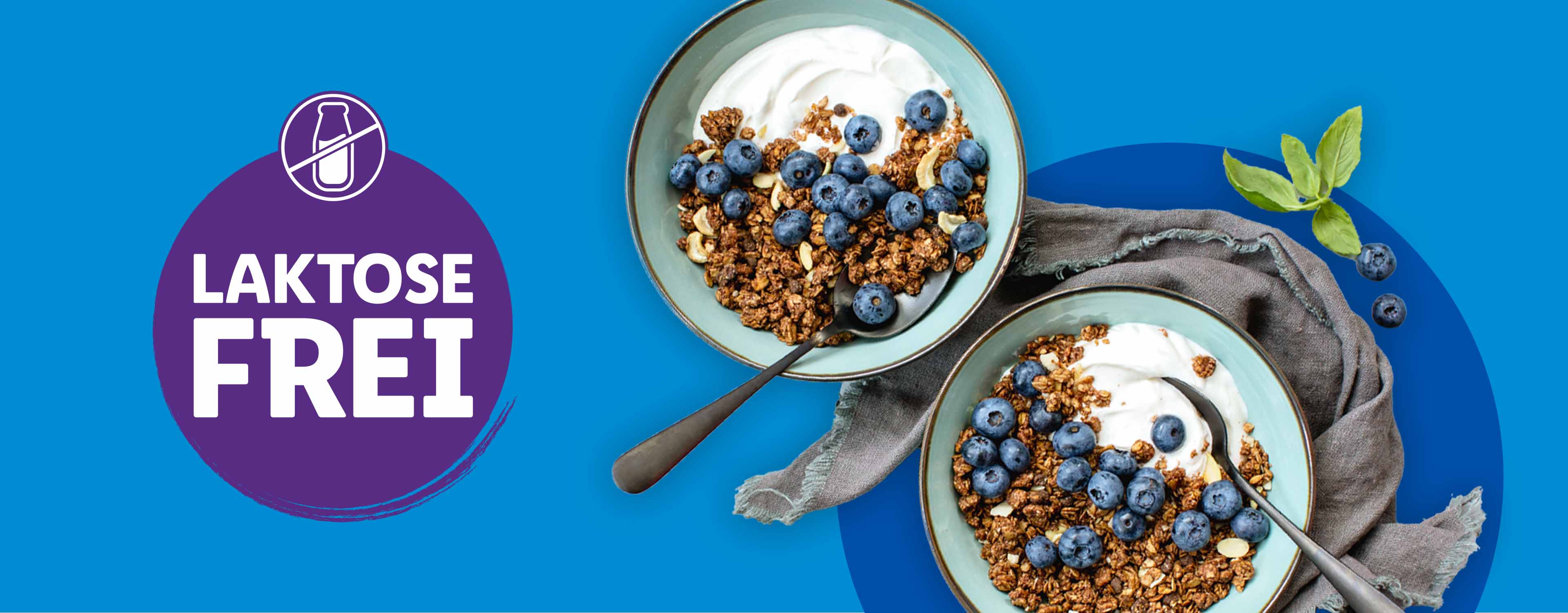 Zwei Schüsseln mit laktosefreiem Joghurt, Granola und Blaubeeren.