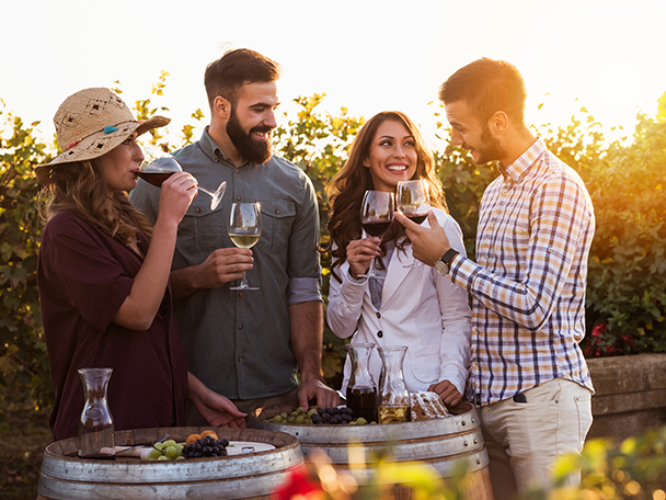 Freunde genießen Wein und Trauben im Weinberg bei Sonnenuntergang.