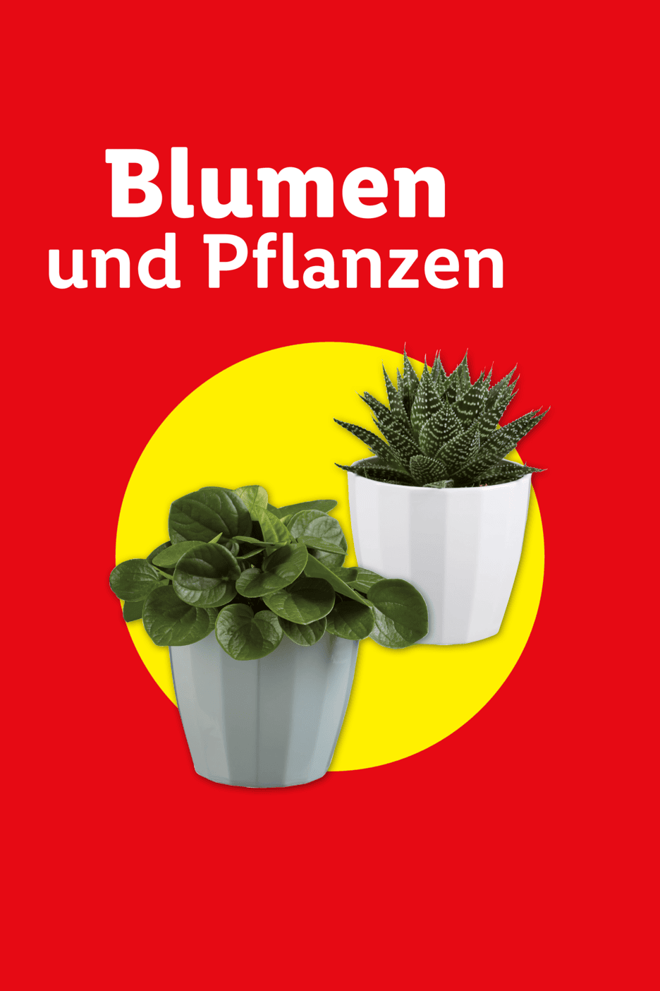 Zwei Topfpflanzen auf gelbem Kreis vor rotem Hintergrund mit dem Text 'Blumen und Pflanzen'.