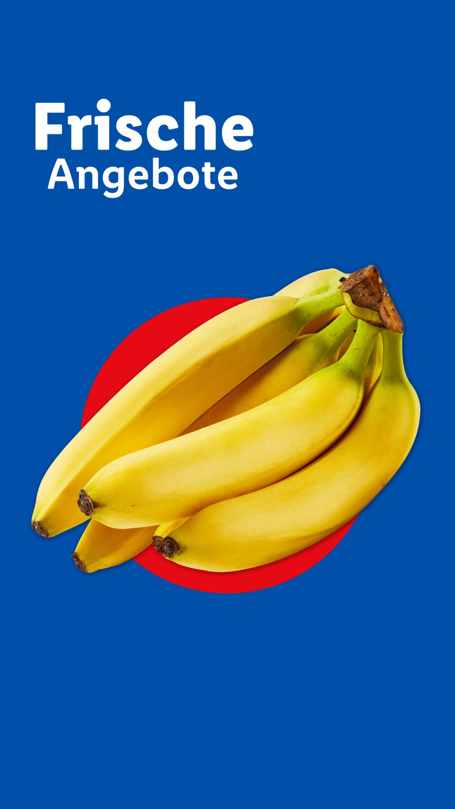 Bananenstaude vor rotem Kreis und blauem Hintergrund mit dem Text 'Frische Angebote'.