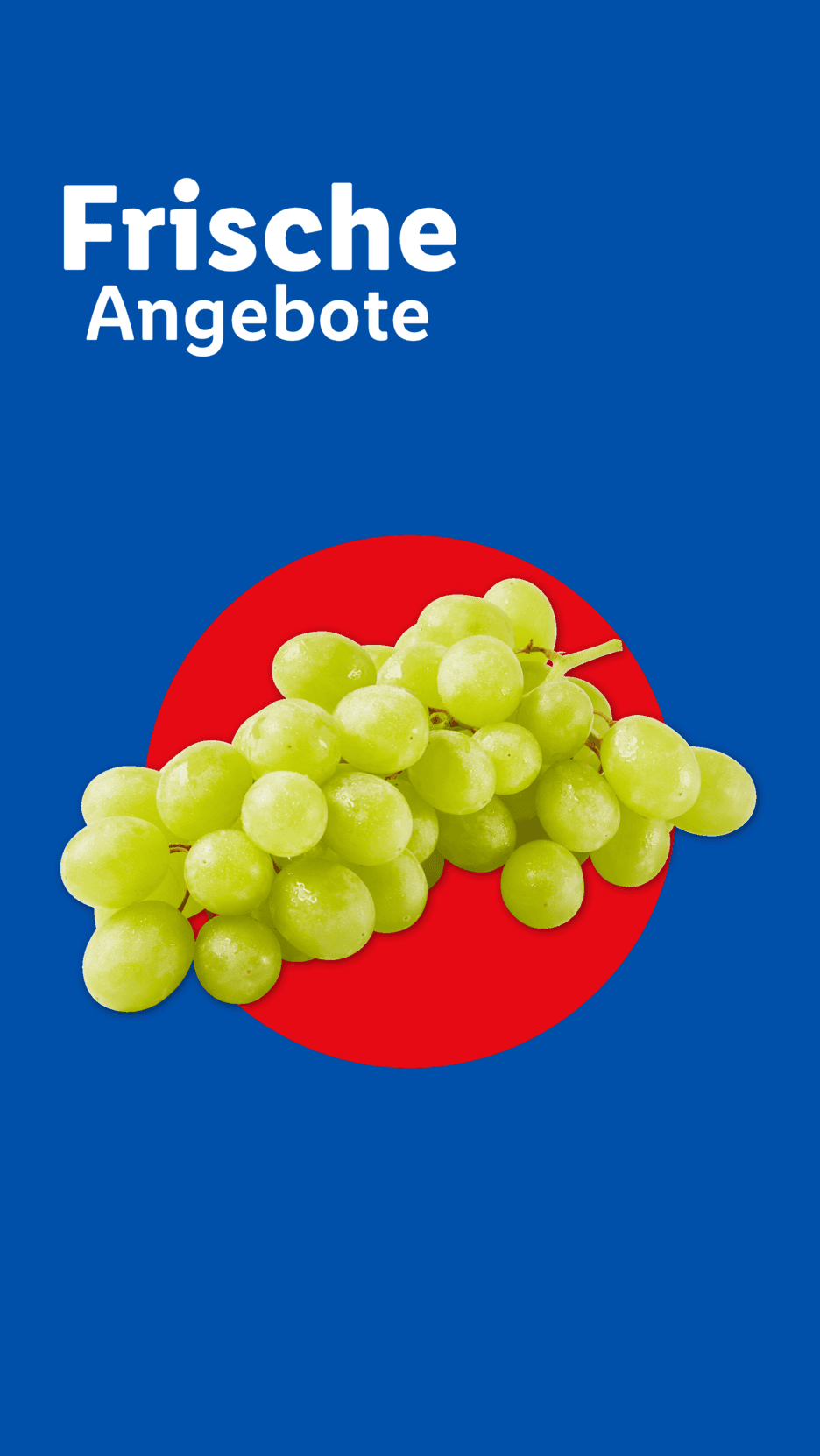 Weiße Weintrauben vor einem roten Kreis auf blauem Hintergrund mit dem Text 'Frische Angebote'.